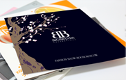 adv_printing_brochures-3